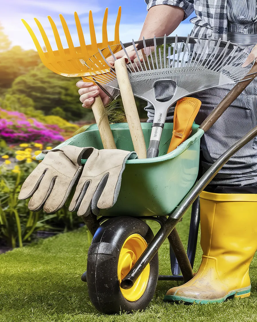 Limpeza de Jardim de Residência no Butantã
