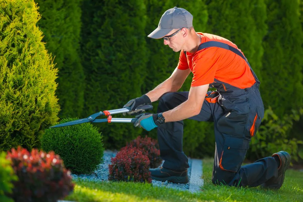Limpeza de Jardim de Residência no Butantã