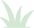 Manutenção de Jardim de Condomínio no Butantã